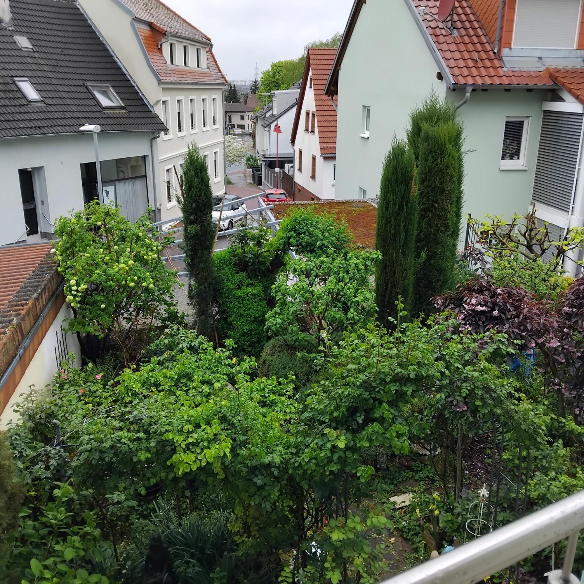 Residenz Am Berg Apartment Leimen  Luaran gambar